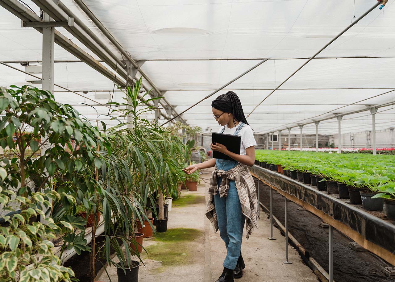 a woman standing in the isle of a garden centre checking out different plants