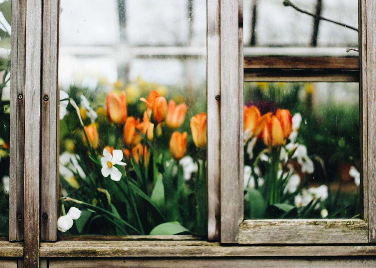 Zo Heb Je Het Hele Jaar Een Mooie Tuin