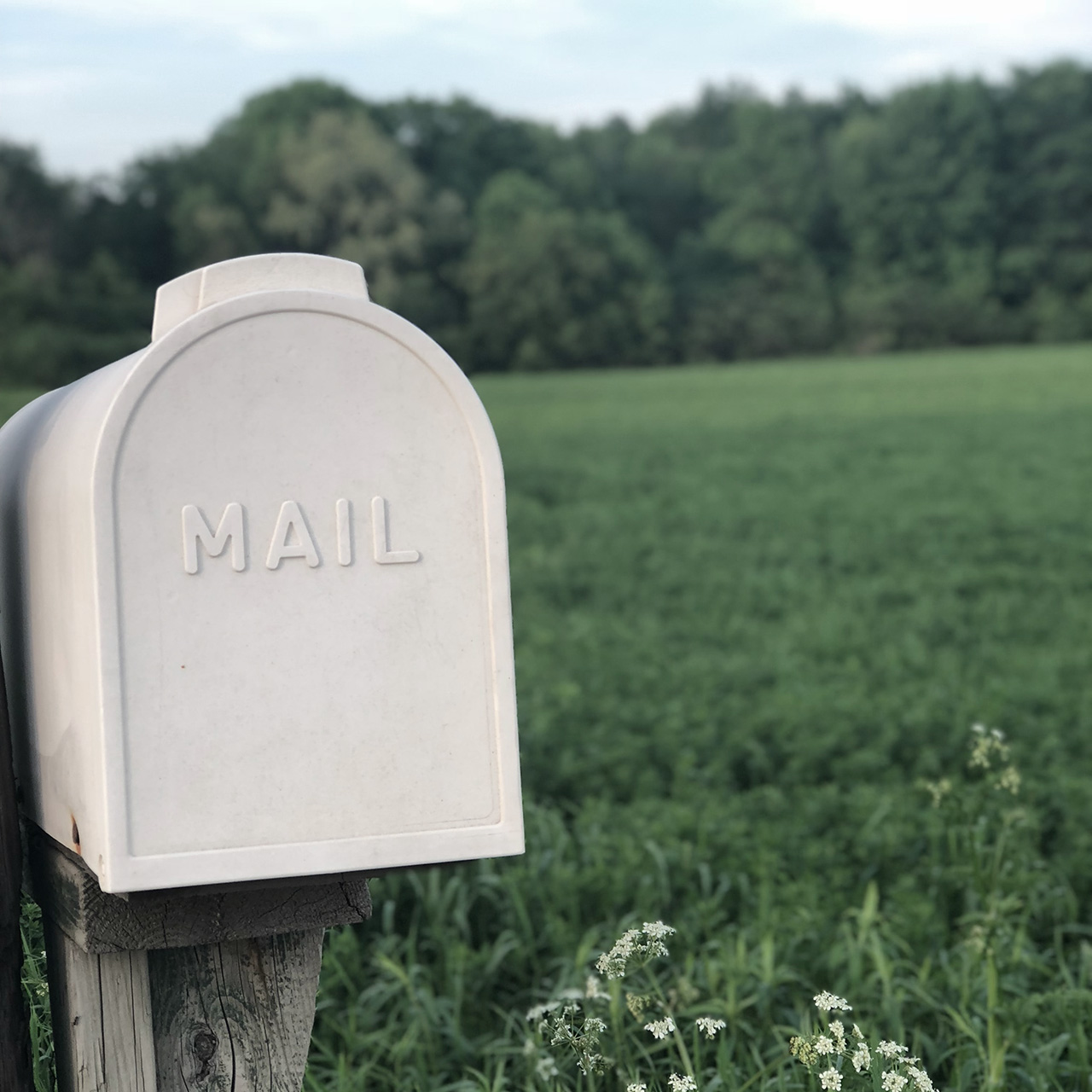 white mailbox standing in a field of grass