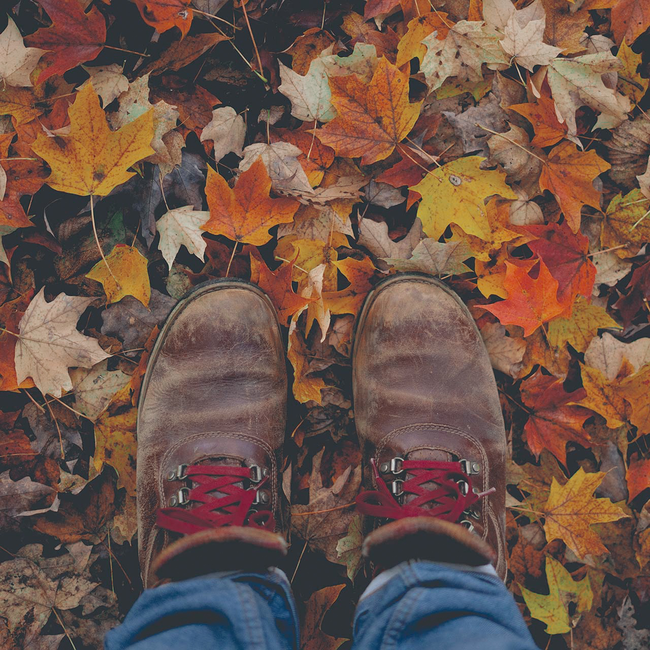 loopschoenen van boven gezien op een bed van herfstbladeren