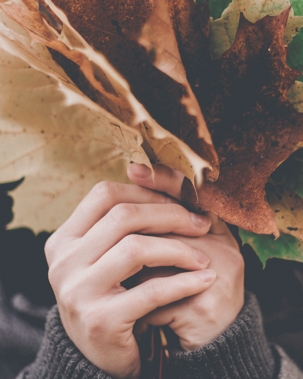 een vrouw die een stapel grote herfstbladeren vasthoudt