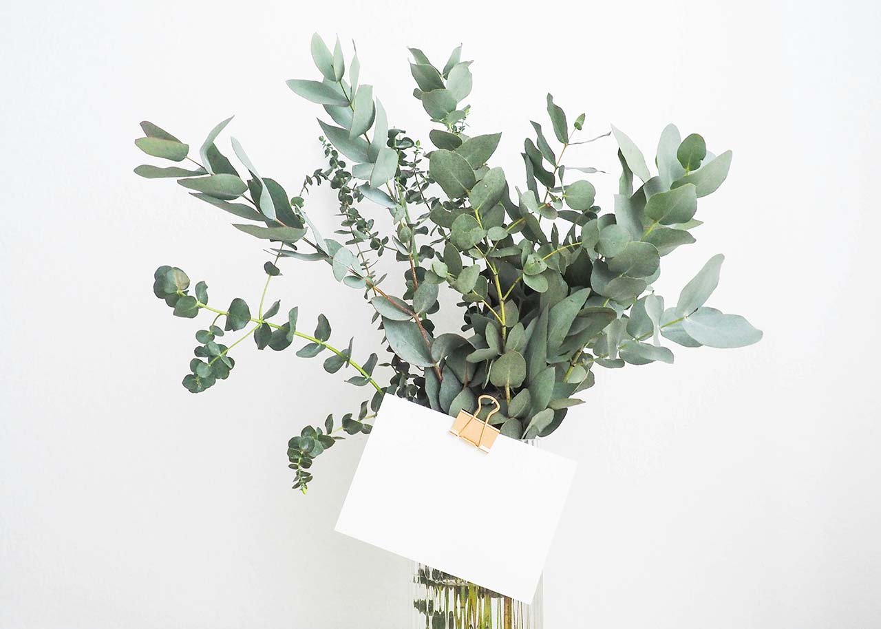 Betekenisvolle cadeaus - bloemen en kaart Betekenisvolle cadeaus - bloemen en kaart